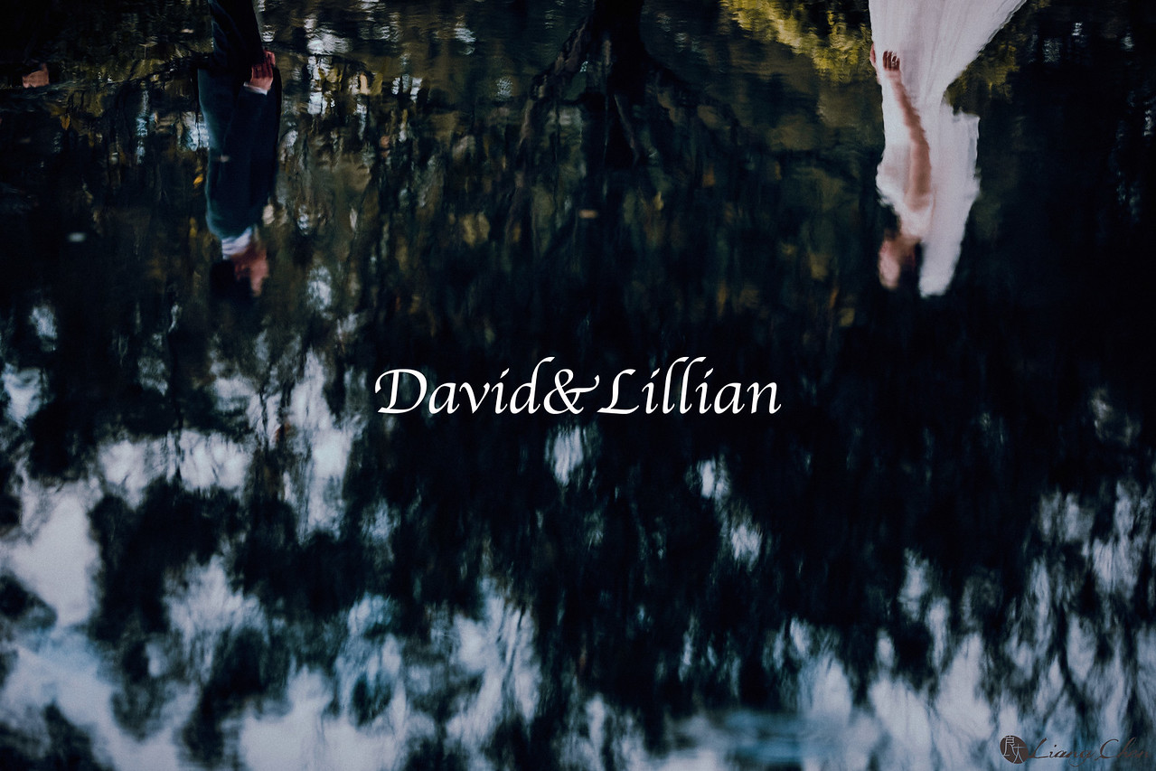 《海外婚攝》 David & Lillian / 澳洲 布里斯本